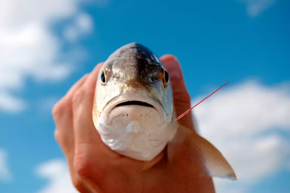 You Could Win a Boat or Truck Just for Fishing in Texas
