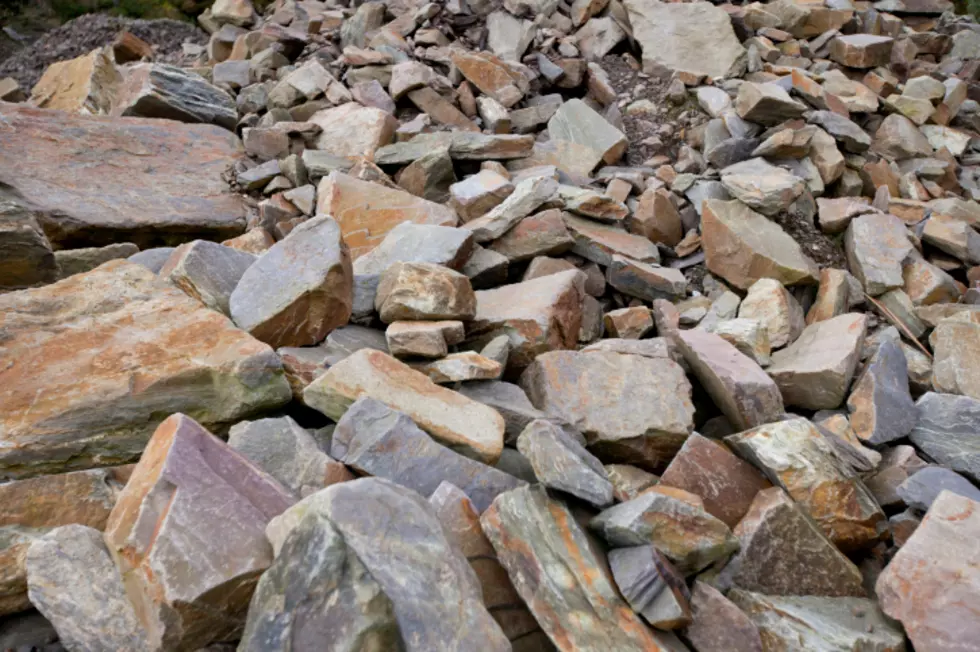 Police looking for a rock thrower