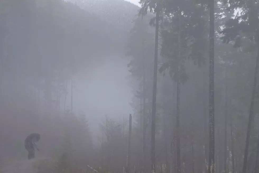 Bigfoot